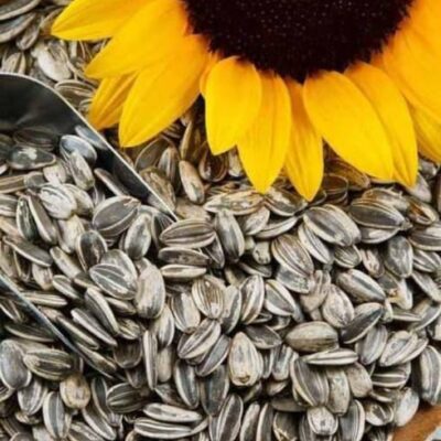 Sunflowers Seeds