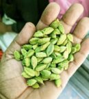 Indian Akbri sabaz ilaichi