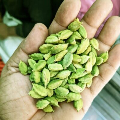 Indian Akbri sabaz ilaichi