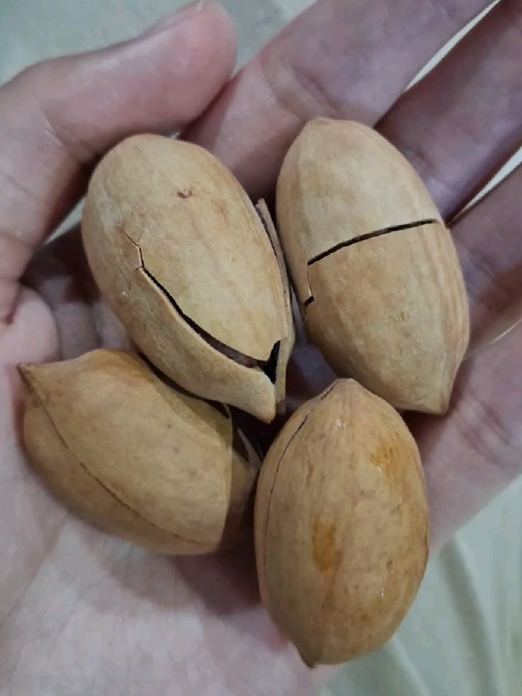 Pecan 250 g - Image 3